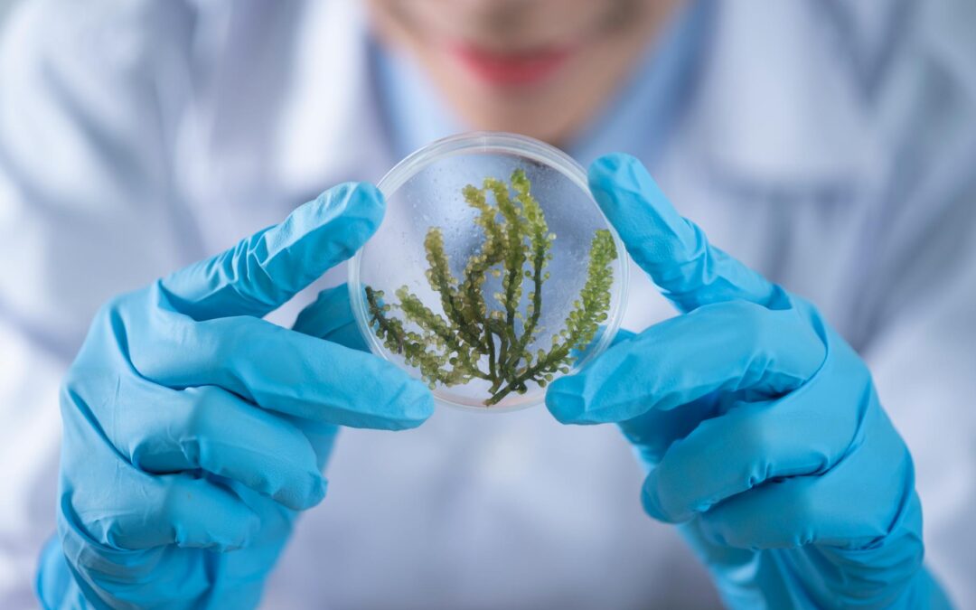 ¿Eres médico internacional y crees que necesitas empezar desde cero? Hay caminos que no conocías…