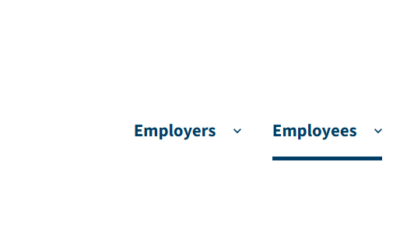CPT, OPT, STEM OPT and E-Verify: Employer and Student Compliance Guide